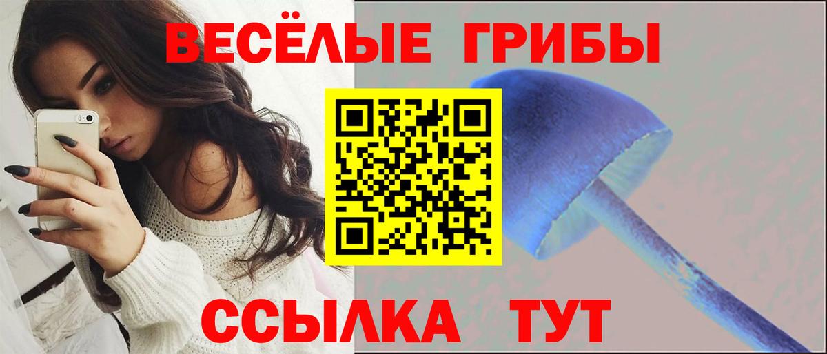 Псилоцибиновые грибы мухоморы  Псилоцибиновые грибы Psilocybine cubensis  Кудрово  Вход с VPN 